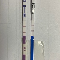 求助大家 第二个试纸这是一样深么 我都看瞎眼了。。