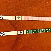 这是怀孕了吗？备孕快一年了！！