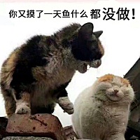 我知道我大姨妈这两天快来了，也知道我时日无多了，其实活着挺累，已经不抱希望了，这次怀不上，就直接...