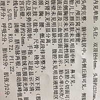 解读