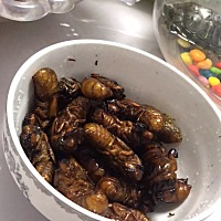 姐妹们有吃过这个的吗？这个第一次吃的时候很抗拒. 后来慢慢喜欢上了. 可是天天吃真的很腻啊. 公公...