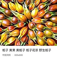 图一是黄果，图二是酒曲，我不知道你们怎么叫，我们老家是这样叫的，对小孩黄疸特别有用