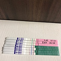 和老公备孕两月，末次月经6月12号，7月13号自己用试纸测试就一深一浅了，当时自己在家激动哭了。一周后...
