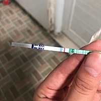 姨妈日第二天还没来，试了还没有，是不是时间不够，不是晨尿