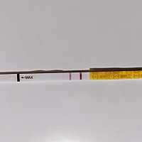 (帮转)距离例假还有一段时间，忍不住测了下早孕孕纸，秀儿测的，我看大家说的这个还比较准，这是意念水...