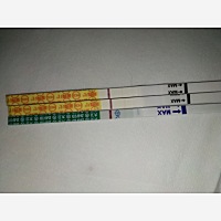 亲们，帮忙看看是不是有印的？28号来的月经，7月10号左右排卵。昨天早上和晚上拿金秀儿测，自己感觉有加...