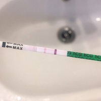 这是有了吗？大姨妈本该今天报道的。