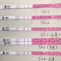 23号下午是强阳转弱了么？为什么24号又强阳了