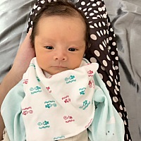 一天一个样的小🐷