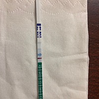 孕酮低要怎么治 一直想着怀孕，总是会失望😔
