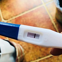 居然只有一个点 这个应该是没有吧？请教一下见多识广的大家！