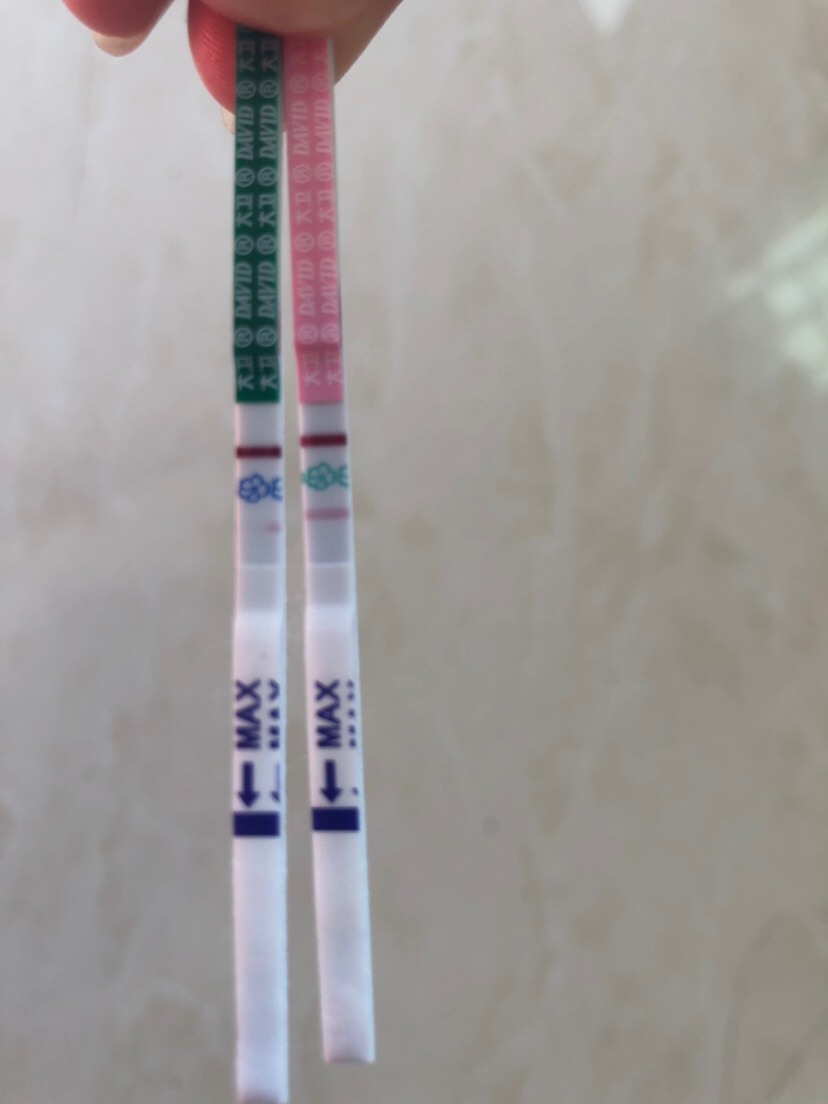 这是什么情况，粉色排卵试纸，绿色早孕试纸