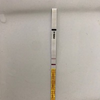 今天是本月例假推迟的第二天，昨天血检已经确认怀孕了～发此状态以供还在备孕的宝妈参考下检测时间。201...