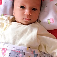 第19天了，哇咔咔，很快就满月了😄😄