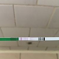 这个是排卵了吗？我用排卵试纸测的。但是不懂啊。求回复！！！！！