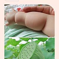 今年的藕，😊 真的是…😠 长势喜人呐。😄