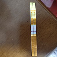 圈友们帮个忙看看这是排卵了吗？