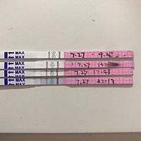 昨天早上测的强阳大概每四个小时测一次！白带透明拉丝...中午14点多安排了一次！下午晚上开始转弱.....