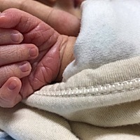 要报喜喽：7月26顺产乔治一枚，过程虽然很痛苦，但是产程超顺利，从开三指进待产到出生3个小时，医生都...