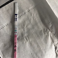 今天测的排卵试纸，各位前辈请多多指教。