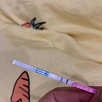 大家帮我看一下、这算不算排卵了？对排卵试纸不懂呀！