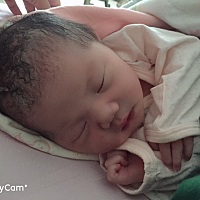 2019.7.27.02：32   顺产卸货佩奇一枚，七斤整，一切顺利！