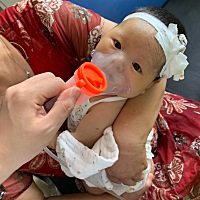 肺炎了，病毒感染，住院八天，不发烧就咳嗽也能肺炎，这么小的你要承受这么多 ，妈妈心里难受