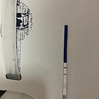 今晚测的，但是昨天周日去抽血，孕酮15点多，30天啦，正常吗？