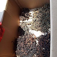 你们那月子吃什么，坐标：江西景德镇，我们那做月子是不能吃蔬菜的大多数的配菜就是猪肉蒸各种干菜 ...