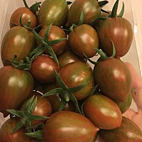 最近太能吃啦。不吃饱就没有安全感。吃饱吃舒服了才不会恶心，哈哈。体重飙升啊……😭😭😭嘴...