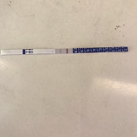 促黄体生成素(LH)检测试纸两条杠