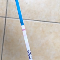 怀了，16号的排卵期，周末的时候测还是大白板（也有可能是因为我当时喝了一瓶饮料），今天早上测就...