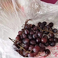 还没结婚我怀孕了，现在商量结婚，我就说我们老家有彩礼一说，他们家问我多少，我说我爸妈给我弟准...