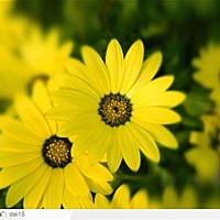 吐槽一下，今天早上我坐地铁，本来人就多  我还是一个孕妇，就在那挤着 我身后一个女的又高又胖 一...