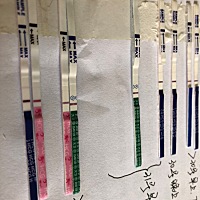 连续几天测都是淡粉印！为什么不加深？这是怀孕了吗？