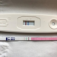 放弃还是等呢？20号排卵的，系统提示昨天来姨妈也没有来，早孕也测不出