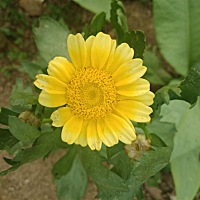 心寒！！！每次都是自己一个人去做产检！每次产检回来都没一个人问我今天检查结果怎么？不闻不问！营养...