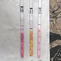 都是秀儿容易炸糊，好害怕