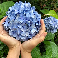 宝宝出生才几天，睡觉老是做梦惊醒，不安稳，双脚双手动来动去，哭几声自己又睡了！看着好难受，这是正...