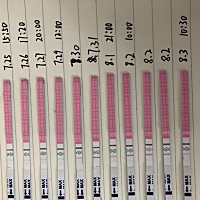 麻烦大家帮忙看看排卵期是哪天