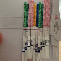 23排卵，22.23.24都有安排，今天是第十天了，啥也看不到，求传我好孕 昨天跟今天就测了下，这么多 可丽...