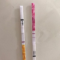 末次月经是7月6号，刚测，把排卵试纸和早孕放一起了，不知道是不是串色了，明天分开试试