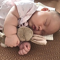 我们的米琪林，这个照片 是45天的，可爱的小天使，爸妈爱你！