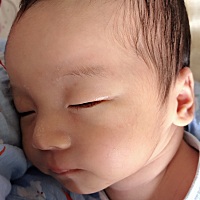 吃了睡睡了吃的猪猪宝