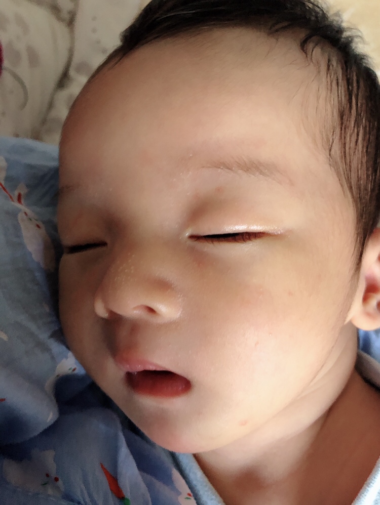 吃了睡睡了吃的猪猪宝