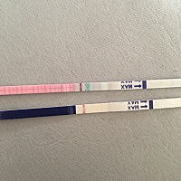 末次11,今天测早早孕白板，排卵试纸有一点点，是不是这个月又失败了😖