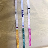 中午刚测的，这是有了吗😹😹，今天该来月经的，