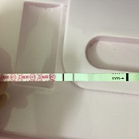 (转需)测试过是两条杠，现在应该是五周了，不知道有没有着床，这是下午拍的金秀儿排卵两条杠，有时候总...