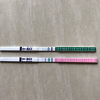 大家怀孕初期症状也是这样么？是不是中了？？？ 末次月经7.10号，25号排卵日，今天早孕试纸第二次测...