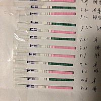 请问下姐妹们，我周期不准，上次姨妈是7月1号结束的，7.18排卵纸测出弱阳，截止到今天排卵试纸还是...